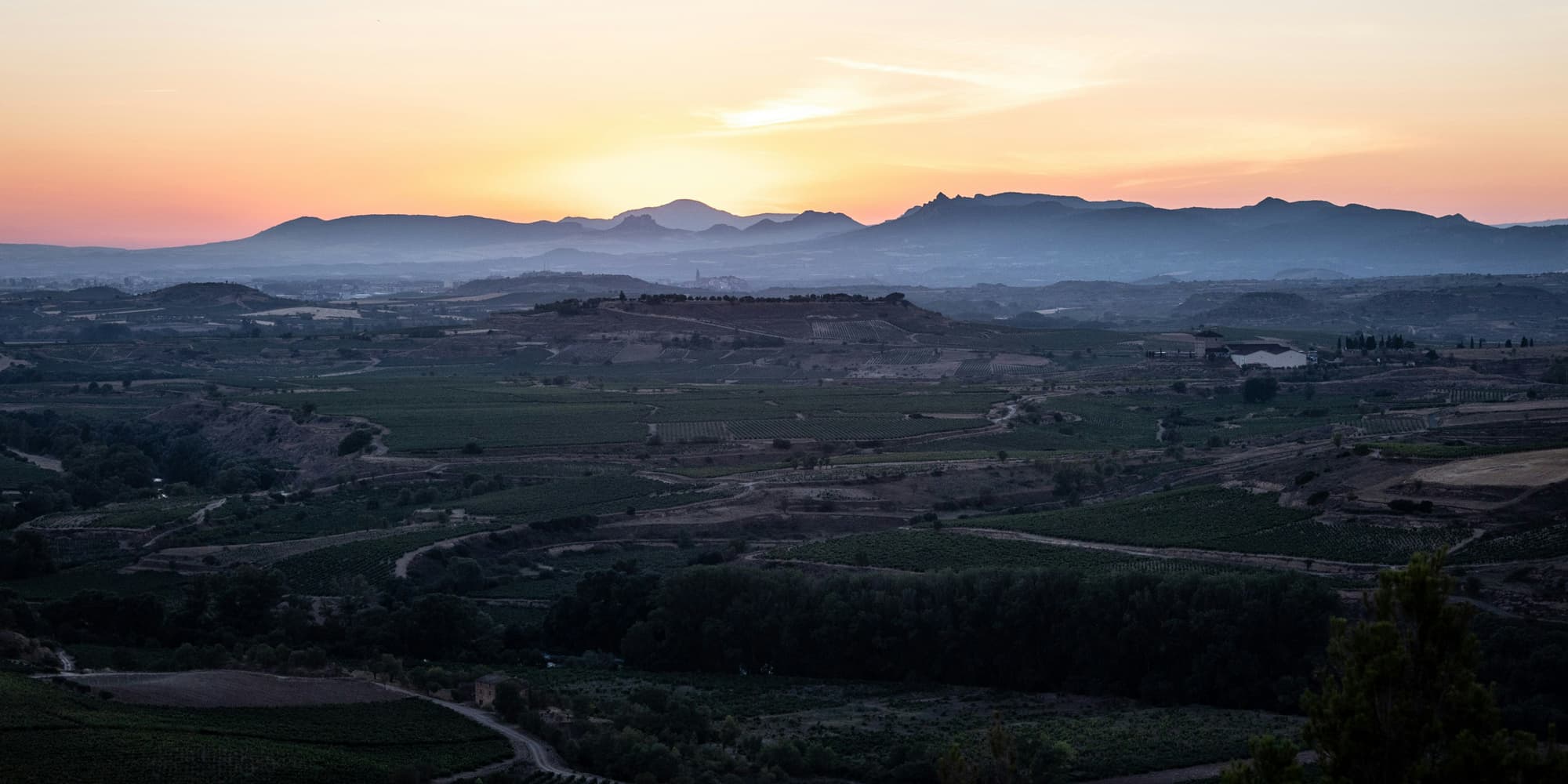 A view over La Rioja at sunset